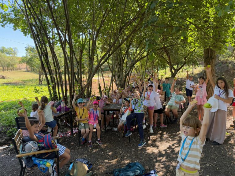 WhatsApp Image 2026-03-16 at 17.00.26